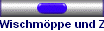 Wischmppe und Zubehr